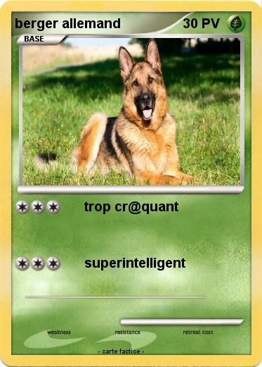 Pokemon berger allemand
