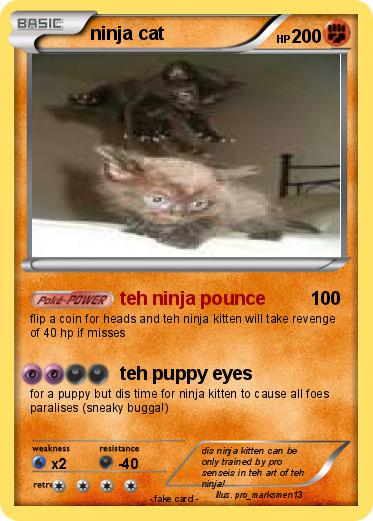 Pokemon ninja cat