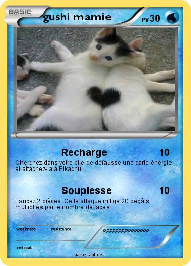 Pokemon gushi mamie