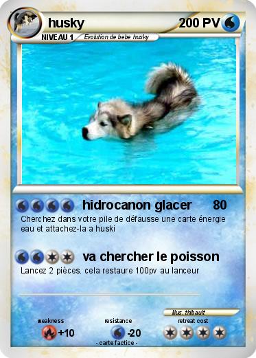 Pokemon husky