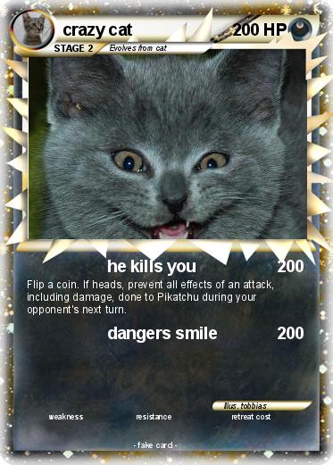Pokemon crazy cat