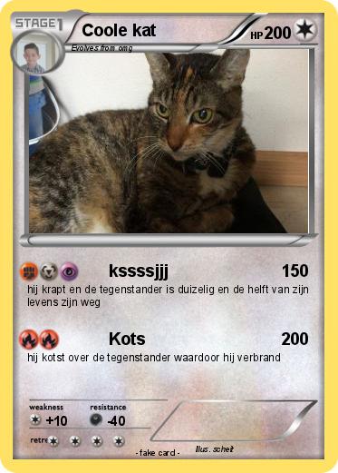 Pokemon Coole kat