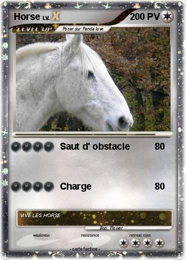 Pokemon Horse