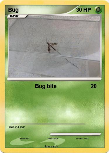 Pokemon Bug
