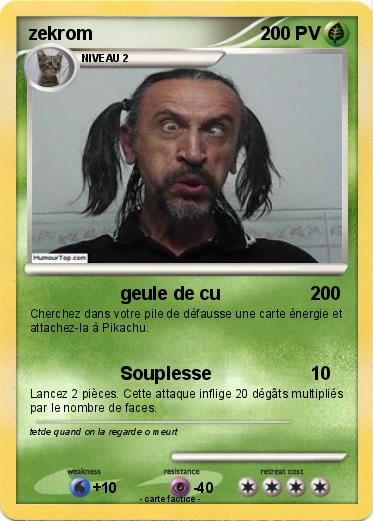 Pokemon zekrom