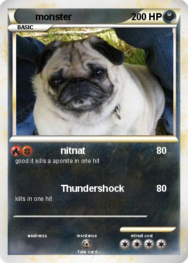 Pokemon monster