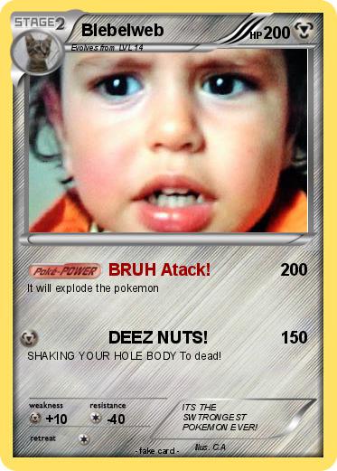 Pokemon Blebelweb