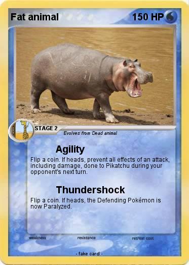 Pokemon Fat animal