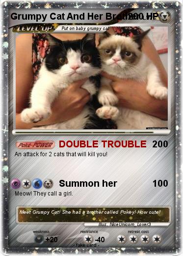 Pokemon Grumpy Cat And Her Brother