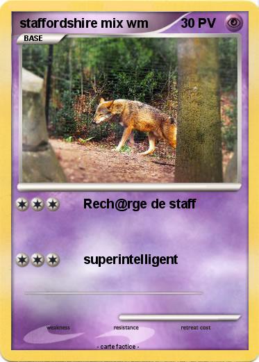 Pokemon staffordshire mix wm