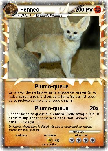 Pokemon Fennec