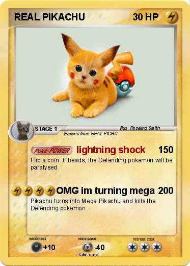 Pokemon REAL PIKACHU