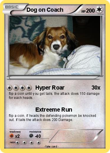 Pokemon Dog on Coach