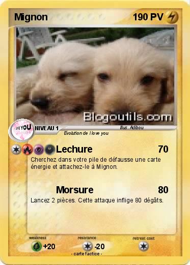 Pokemon Mignon
