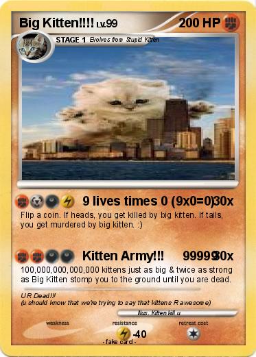 Pokemon Big Kitten!!!!
