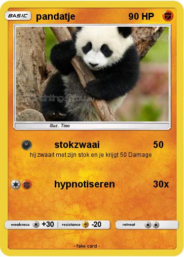 Pokemon pandatje
