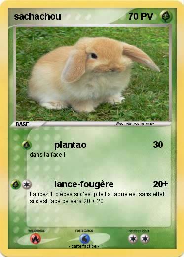 Pokemon sachachou