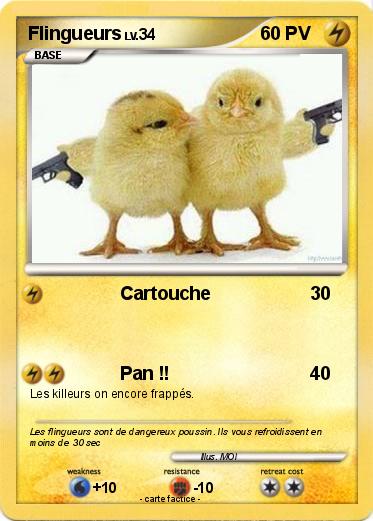 Pokemon Flingueurs