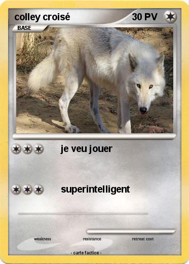 Pokemon colley croisé