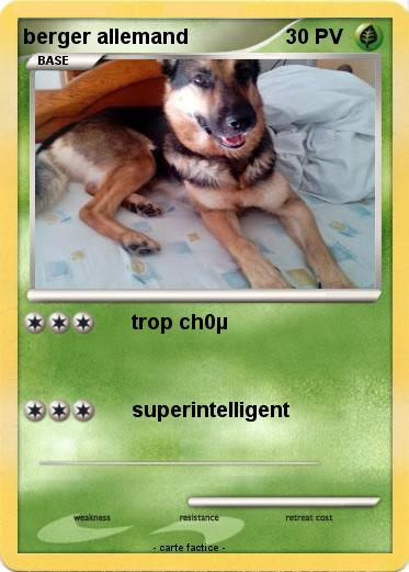 Pokemon berger allemand