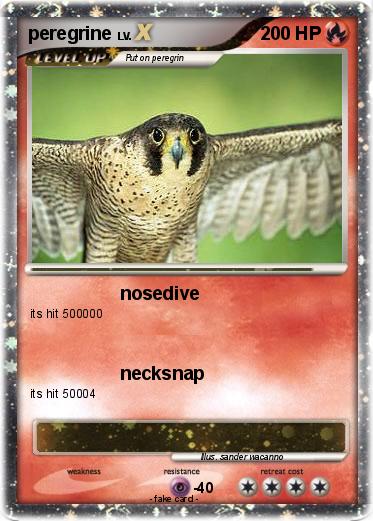 Pokemon peregrine