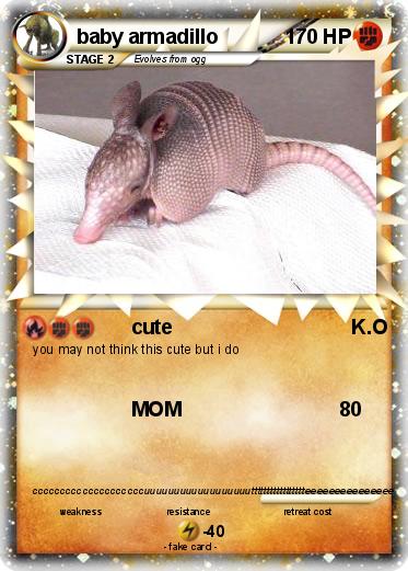 Pokemon baby armadillo
