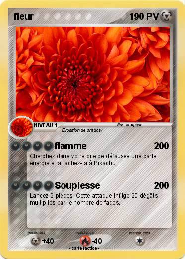 Pokemon fleur