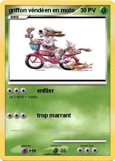 Pokemon griffon véndéen en moto
