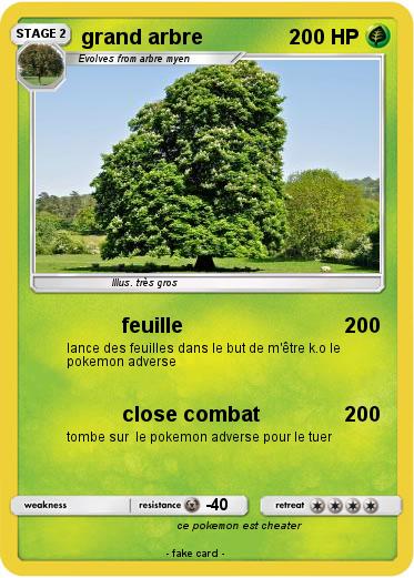 Pokemon grand arbre