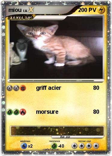 Pokemon miou