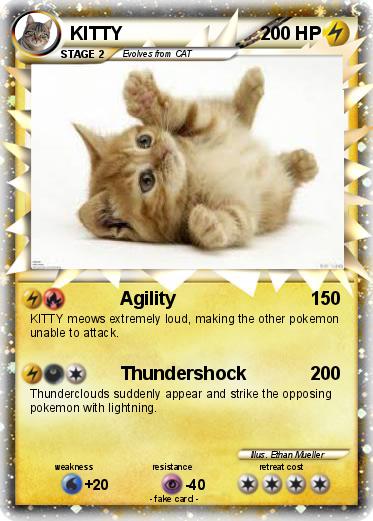 Pokemon KITTY