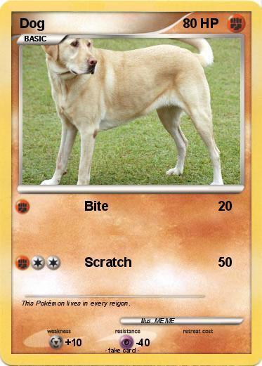 Pokemon Dog