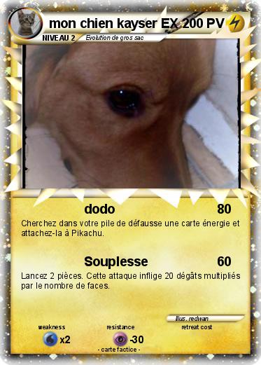 Pokemon mon chien kayser EX