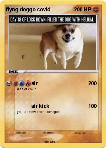 Pokemon flyng doggo covid