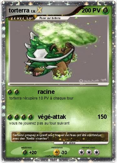 Pokemon torterra