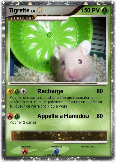 Pokemon Tigrette