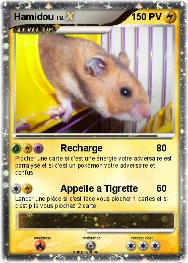 Pokemon Hamidou