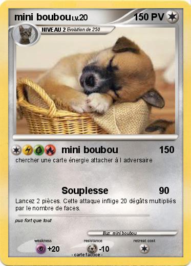 Pokemon mini boubou