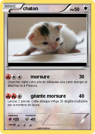 Pokemon chaton