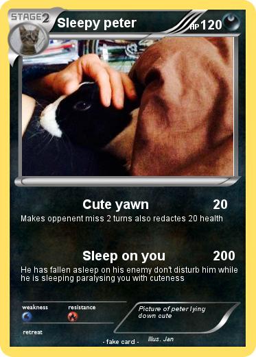 Pokemon Sleepy peter
