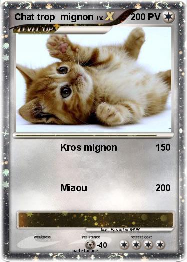 Pokemon Chat trop  mignon