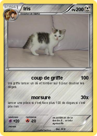 Pokemon Iris