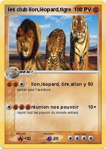 Pokemon les club lion,léopard,tigre