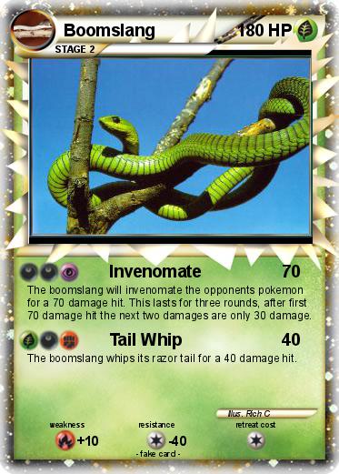 Pokemon Boomslang