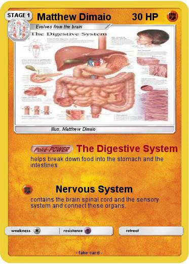 Pokemon Matthew Dimaio