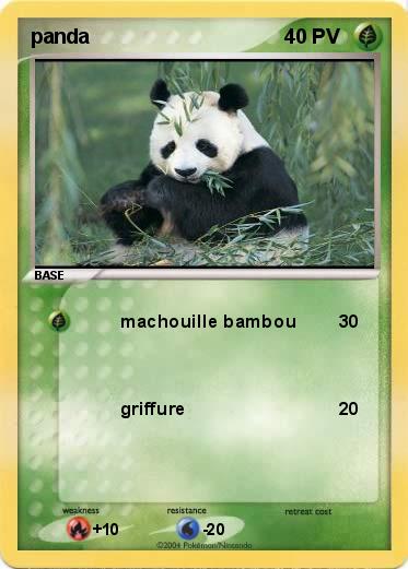 Pokemon panda