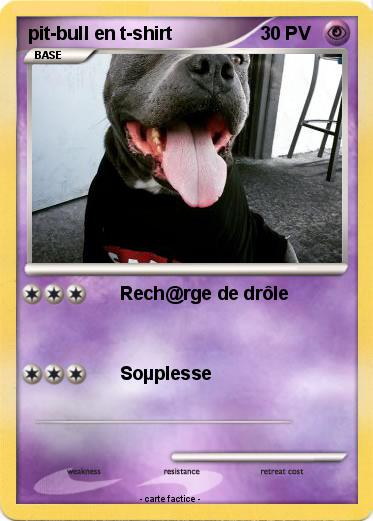 Pokemon pit-bull en t-shirt