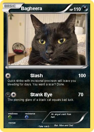 Pokemon Bagheera
