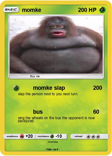 Pokemon momke