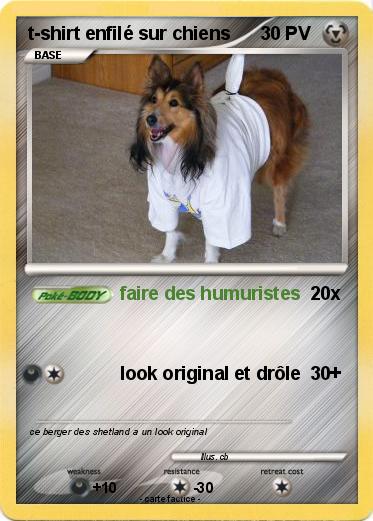 Pokemon t-shirt enfilé sur chiens
